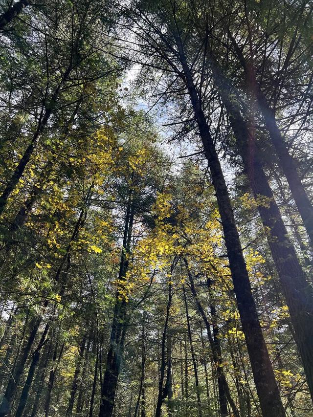 秋分已至，来九寨沟过秋天啦！