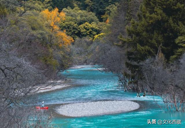 美爆了！在西藏波密，闯入现实版《绿野仙踪》！