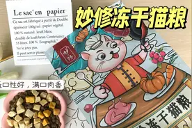 2025年口碑“最好”的十大猫粮品牌图片