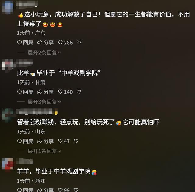 网红羊后续：身价涨三十万，真相揭秘不出所料	，小羊可能保不住了