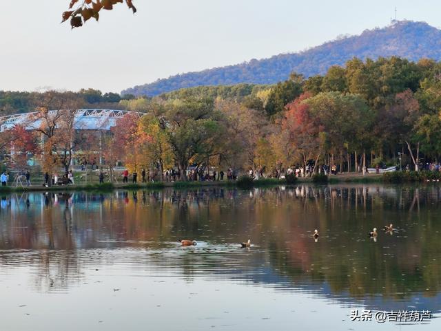初冬‖钟山前湖月牙堤的日落，美的人移不开眼，停不下手拍摄！