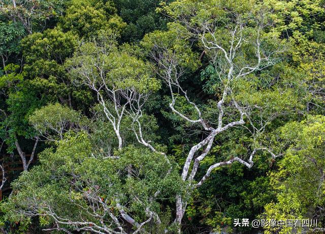 海南霸王岭国家森林公园