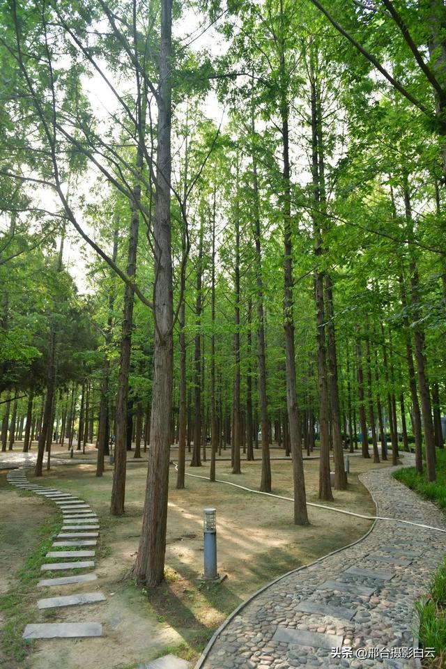 立秋之约：达活泉公园的诗意画卷（图）