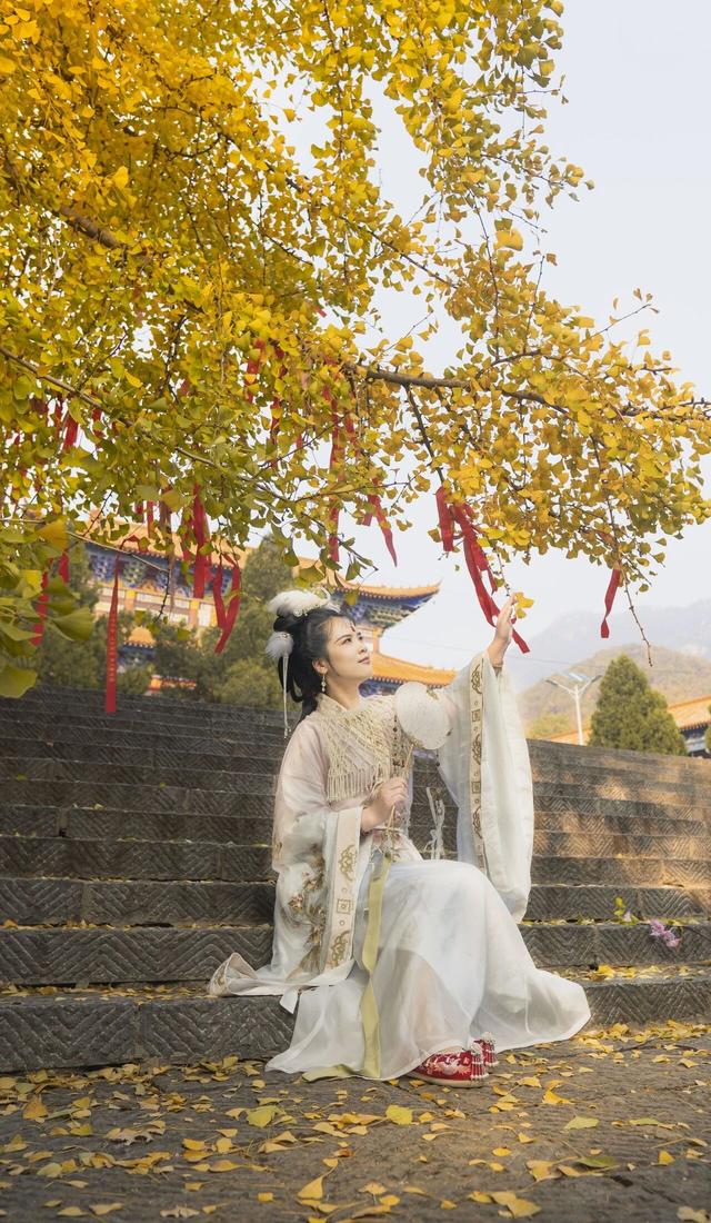 秋日顶流诞生！大鸿寨这棵千年银杏，把秋天染成了金色海洋！