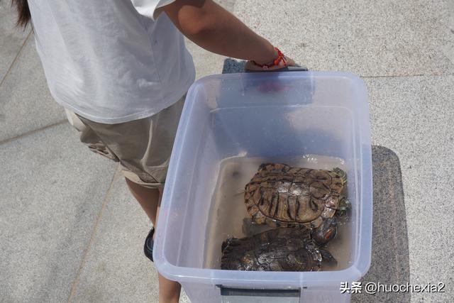 坐着高铁去看海（26）——烟台金沙滩