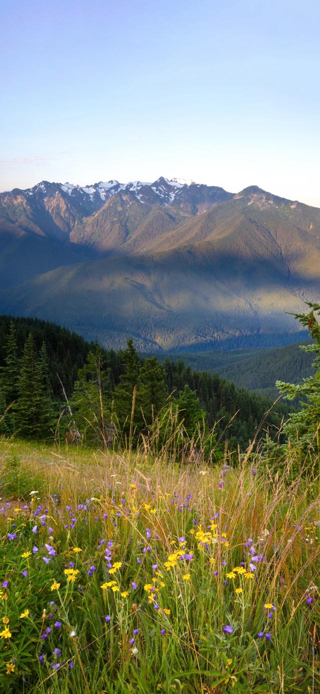 手机壁纸|治愈系的自然美景