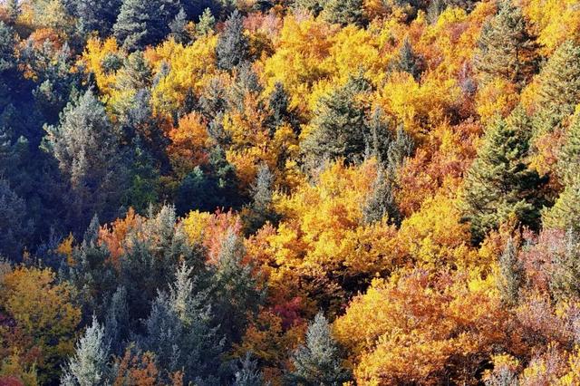 立即出发 | 直奔达古冰川，解锁第一份冬游攻略！