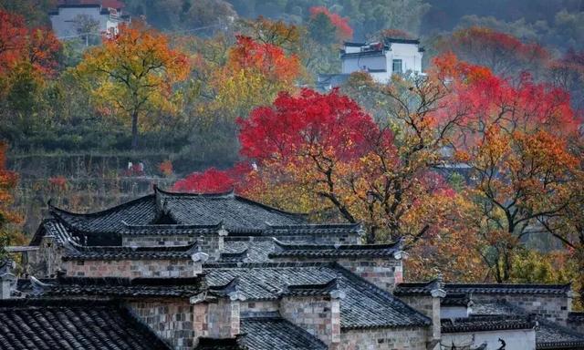 李白为什么偏爱皖南？