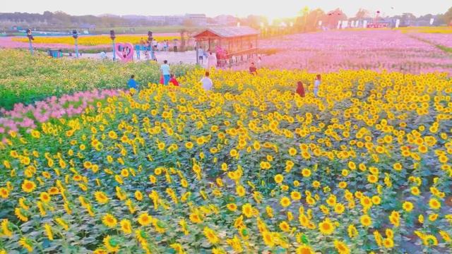 国家级名单公布！南昌一地上榜