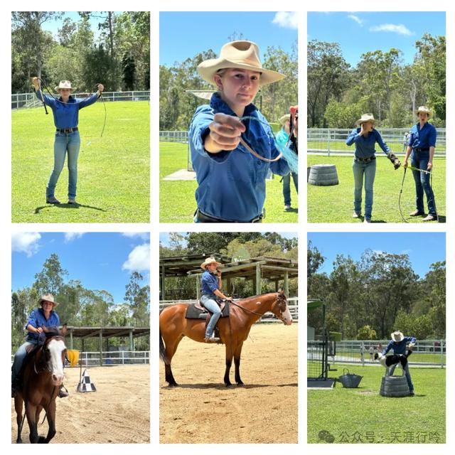 澳洲黄金海岸与布里斯班旅游诗抄