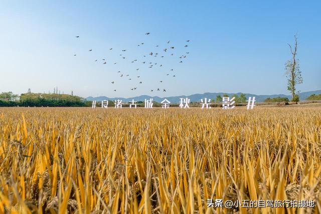 良渚古城一日游攻略｜穿越 5000 年文明，高效打卡世界遗产