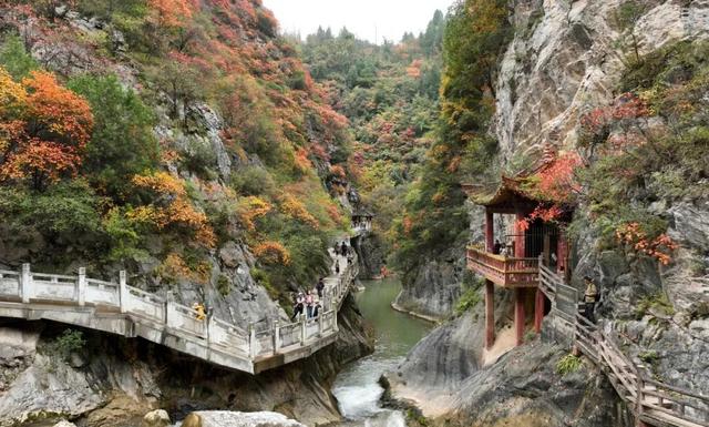 这才是秋天该有的样子~