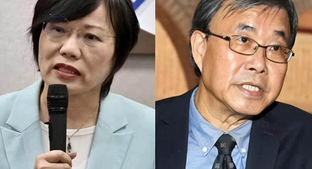 绝不让高安国与蔡正元含冤！大陆终于出手了，请大家记住这张鬼脸