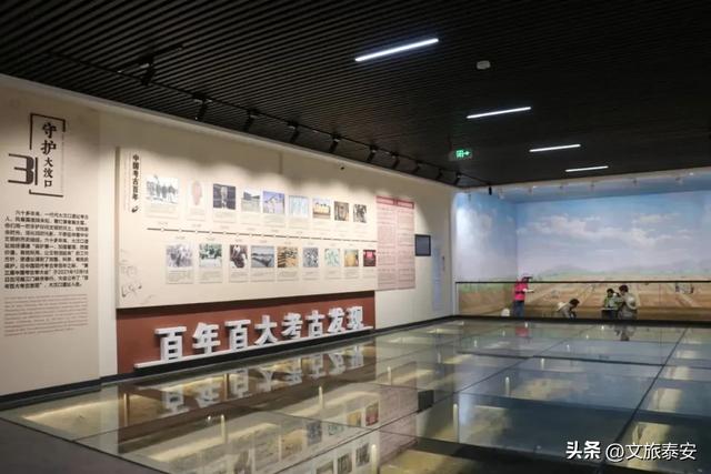 挖红薯！水果采摘！亲子牧场！来泰安，这场松弛感拉满的 “村游” 等你开启！