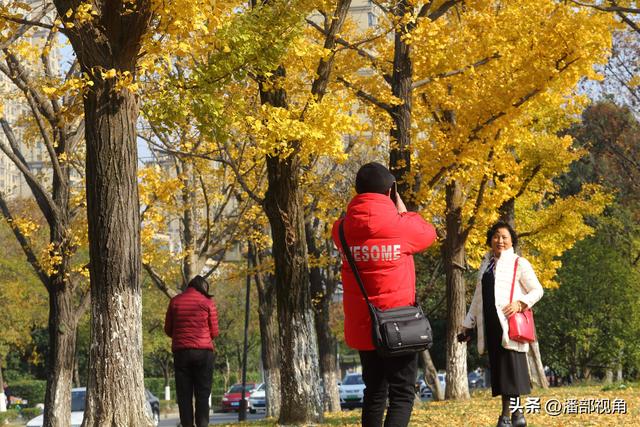 无锡吴都路，金色的世界