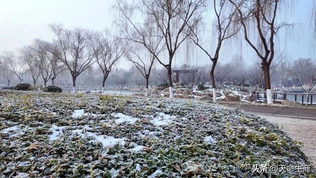 冬日的浪漫，藏在商丘日月湖的晨霜里