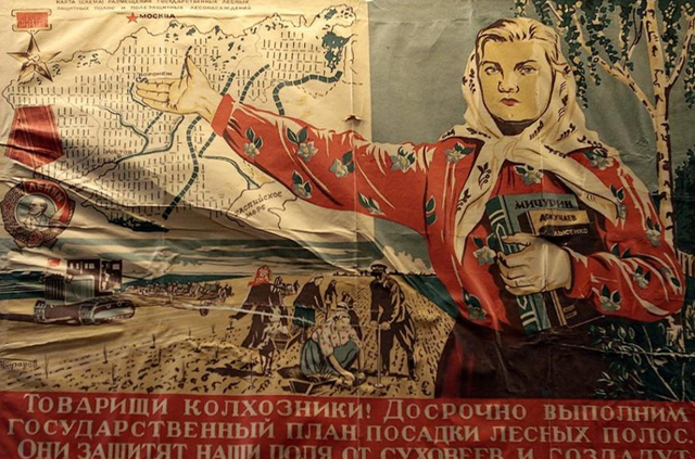 美媒：中国不可怕，可怕的是中国只用10万头猪，就解决了治沙难题