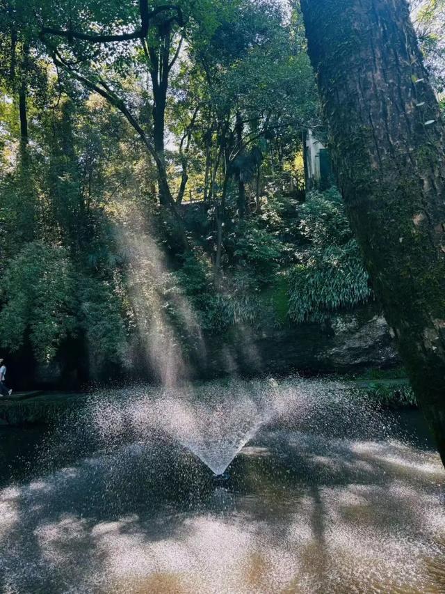 国庆4天打卡浙江11个绝美小众景点！2个人只花3000块