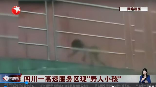 “野人小孩”最新后续：司法部门调查“父母拍猎奇视频牟利”传闻