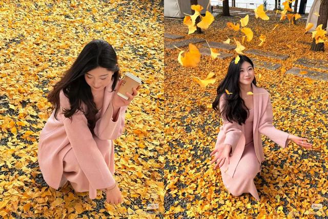 最适合拍银杏的地方！ 临沂十个0元打卡点，抓住今年最后的金色风暴！