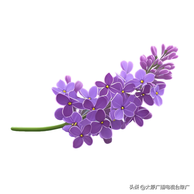 山西大学大同校区官方网站正式上线！