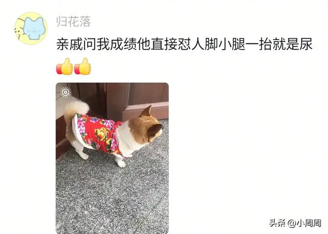 开学第一天狗进食堂帮主人送书包，本想闻主人在哪，结果全是饭香