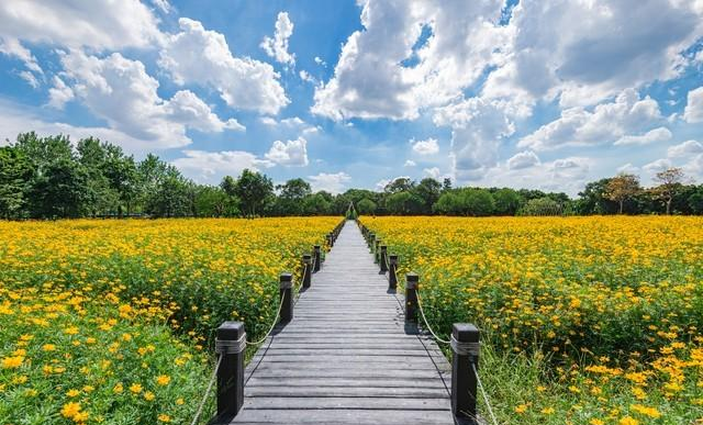 我今年56岁才顿悟，男人没了女人就2个字，女人没了男人就4个字！