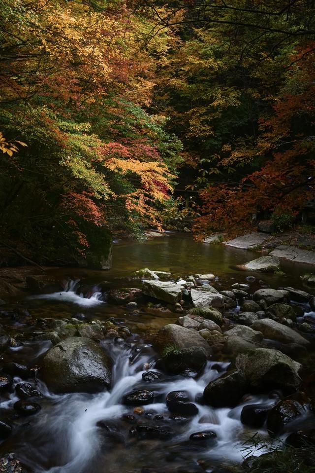 这里为何让摄影人着迷?去了才知道别有洞天