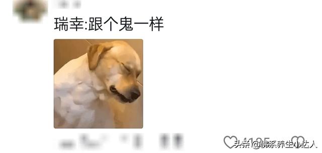 笑不活了！ 瑞幸躲哪蜜雪跟到哪，雪王：我不懂选址但我朋友懂！
