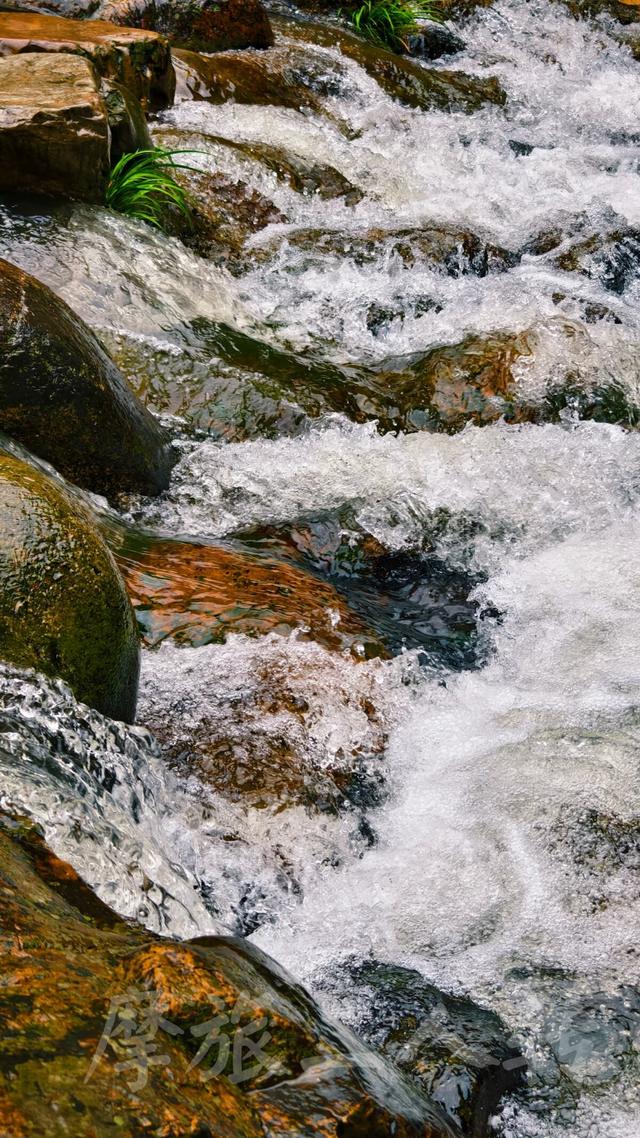 皖浙摩旅二人转——松阳松庄村篇