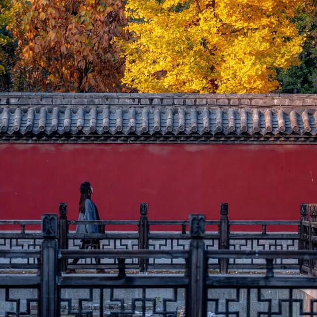 我们把台儿庄古城的秋天“晒”满了朋友圈，温柔了整座古城的初冬