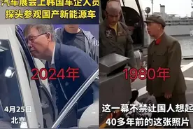 全球车市哀鸿遍野，外国人却挤爆了北京车展图片