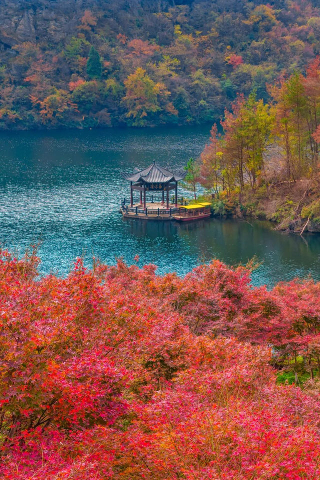 这周都是好天气！黄陂登山徒步赏秋趣！