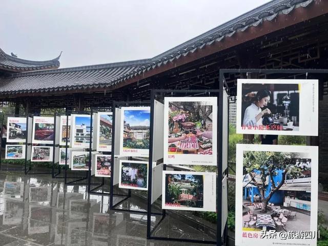 焕新三圣花乡：首发经济激活文旅消费新场景