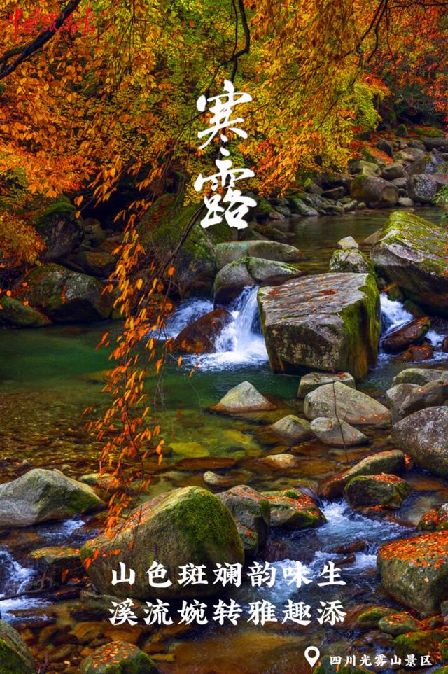 寒露｜假期收官 秋色正酣 奔赴下一场诗与远方