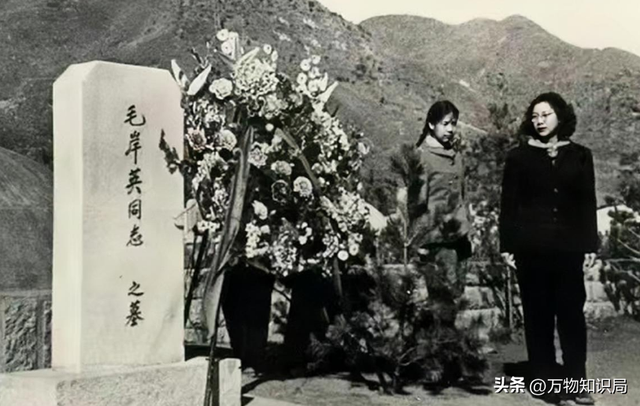 毛岸英牺牲后，刘思齐改嫁河北青年杨茂之生四子，他究竟是什么人