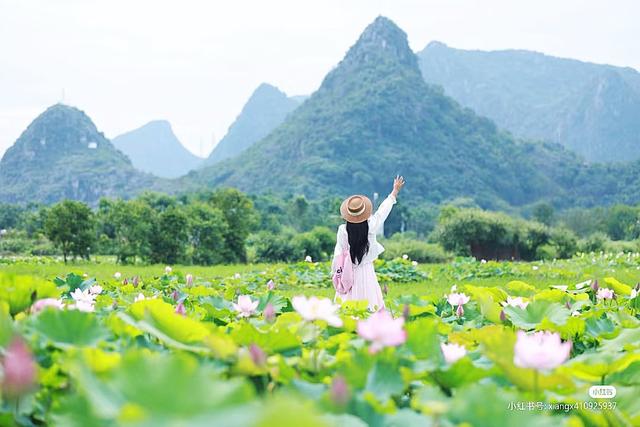 一眼惊艳！桂林夏日限定浪漫“荷”你有约！