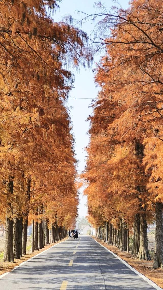 美如仙境！韶关这个地方迎来今年首场冰挂雾凇景观，秋冬来旅行，赏雪泡泉看红枫为你安排好了
