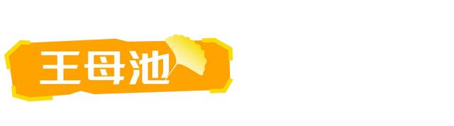 山东：时至初冬，银杏正当时