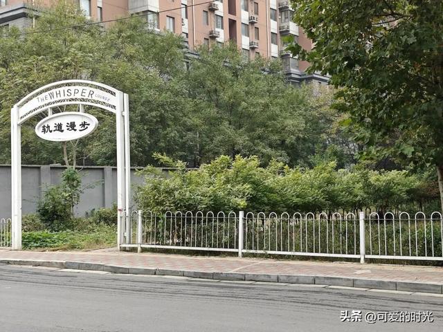 寻趣石家庄——光华路上的绿化带