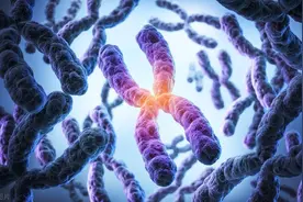 人类20号染色体上，有一条“神的禁令”，它究竟阻止人类做什么？图片