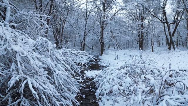 雪落江源！长白山下的水墨烟火夜