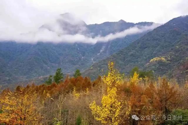 漫山彩林，琉璃坝的色彩美学
