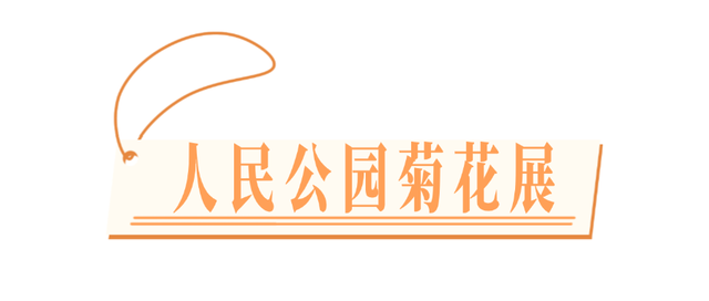 美到失语！15万株菊花，全屏视觉盛宴，3s不心动算我输