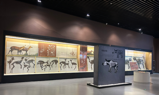 登朐山、访朐博，一日穿越千万年，藏在县城的宝藏路线！