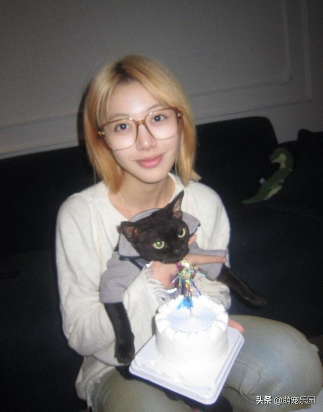 猫咪过生日不看蛋糕，软乎乎暖袋也不碰，小家伙到底在想啥