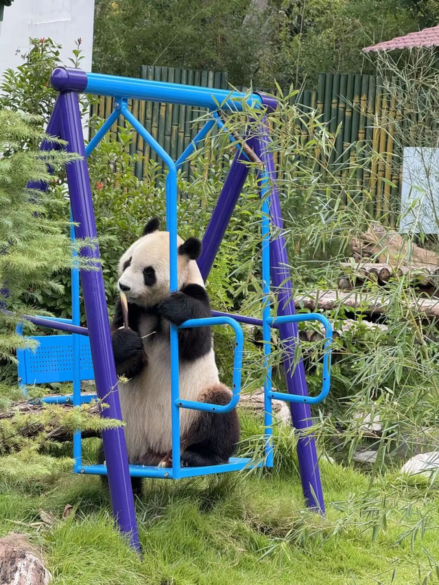 山东有自己的“疯狂动物城”！