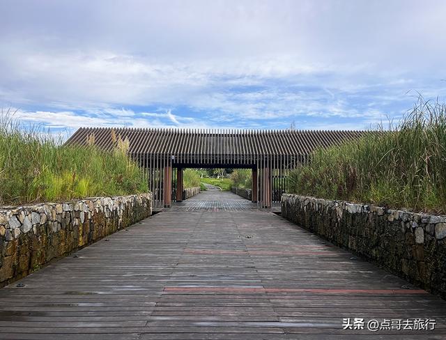 成都最近的原野公园，超级惊艳，一个湖风景就是王者，公交直达！