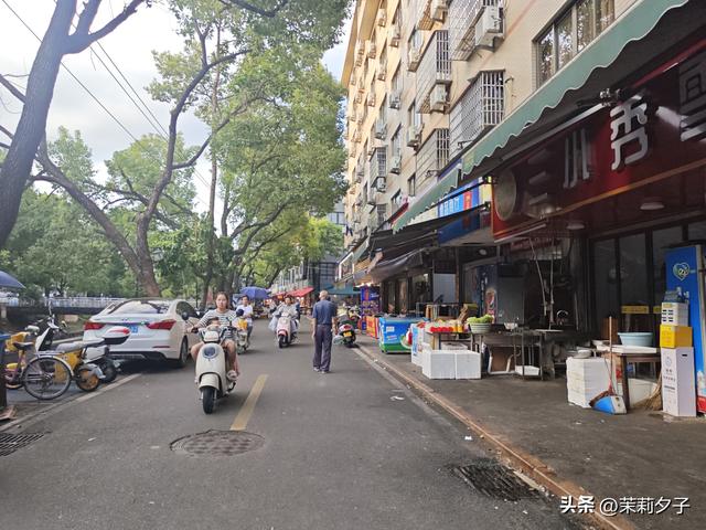 福鼎市区一日游：从白茶发源地到市井小吃赏唐风建筑品山海韵味