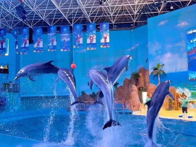 来临沂看日出！逛早市！一起「点靓」沂河的夜